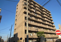 エクセルシオ