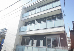 APEXシフォン